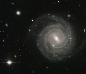 Spiral Galaxy