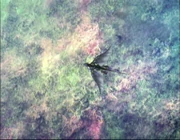 Kalas and co flying over the newly purified Earth after the defeat of Malpercio.