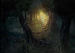 Moonguile Forest entrance.jpg