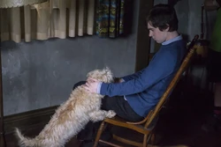 Bates-motel-s3-e8