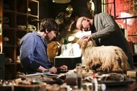 Bates Motel - Ein Junge und sein Hund 16.jpg (85 KB)