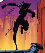 Catwoman prowling the rooftops