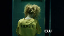Harley Quinn Cassidy Alexa.jpg