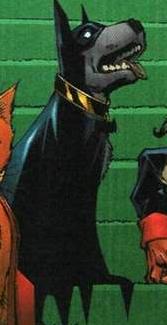Ace the Bat-Hound | Batman Wiki | Fandom
