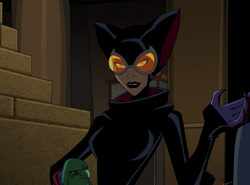 catwoman the batman 2004
