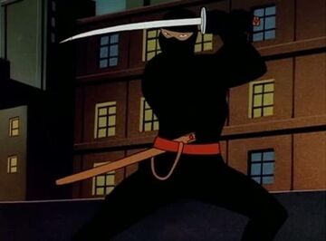 Night of the Ninja, DC Animated Universe