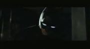 Bat-Sonar Lenses.jpg