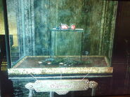 Die Vitrine mit Catwomans Ausrüstung in Batman: Arkham Asylum