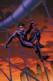 Nightwing07