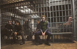 Jokermcu08