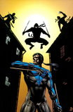 Nightwing Ninja