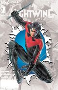 Nightwing Vol 3-0 Cover-2 Teaser