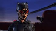 Catwoman:Selina Kyle