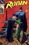 Robin (Volume 1) 1991