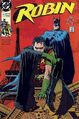 Robin (Volume 1) 1991