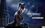 Catwoman t