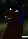 Bat-Hound bb1.jpg