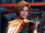 Molly 2.png (376 KB) Molly with her Robin disguise