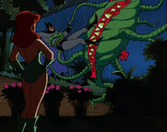 Poisonivy029