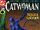 Catwoman (Volume 2) Issue 87