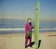 Joker Surfboard