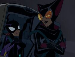 Catwoman (The Batman Animated Series) | Batman Wiki | Fandom