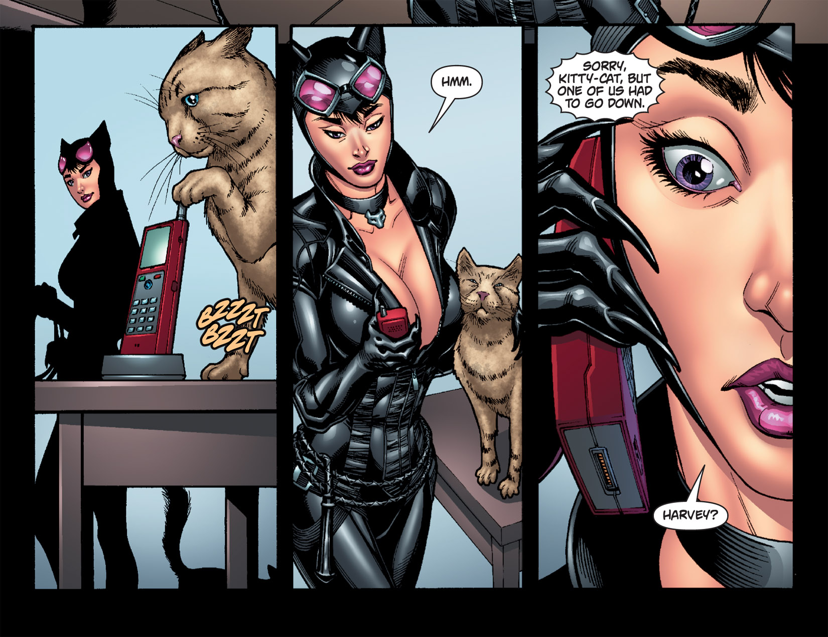 batman arkham city catwoman and poison ivy kiss