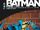 Batman Knightfall : La Quête