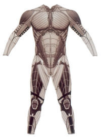 Batsuit begins.jpg