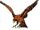 Talon the Falcon