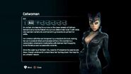 Catwoman's Biography.