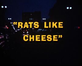 Rats