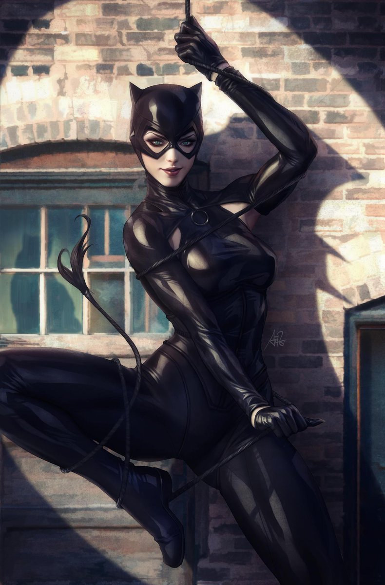 Hot Girl Catwoman Batgirl Batman Dark Knight Comics Poster – My