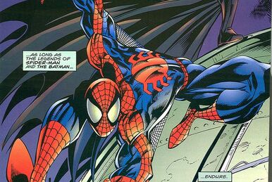 Spider-Man and Batman | Batman Wiki | Fandom