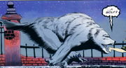 Wolf-Creach
