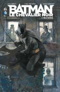 3. Batman Le Chevalier Noir: Folie furieuse