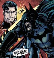 Injustice011 (5).jpg