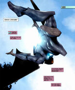 Batwing 010