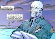 Great White 2.jpg