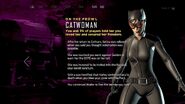 Catwoman's Result Screen (Same Stitch)