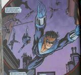 Nightwingyearone