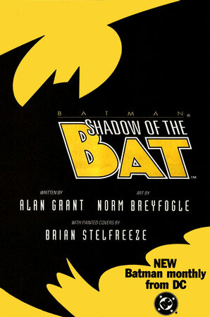 Amazon.com: Batman 4: Shadow of the Bat: 9781401288051