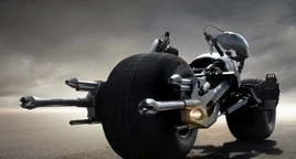 Snapshot20081130131342