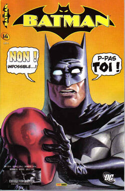 eBooks Kindle: Batman - Les tourments de Double-Face (French  Edition), Jenkins, Paul, Lee, Jae, Phillips, Sean