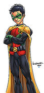 Robin-Damian