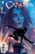 Catwoman Vol 4-51 Cover-1