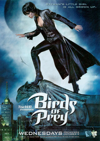 Birds of Prey (TV series) - Wikipedia