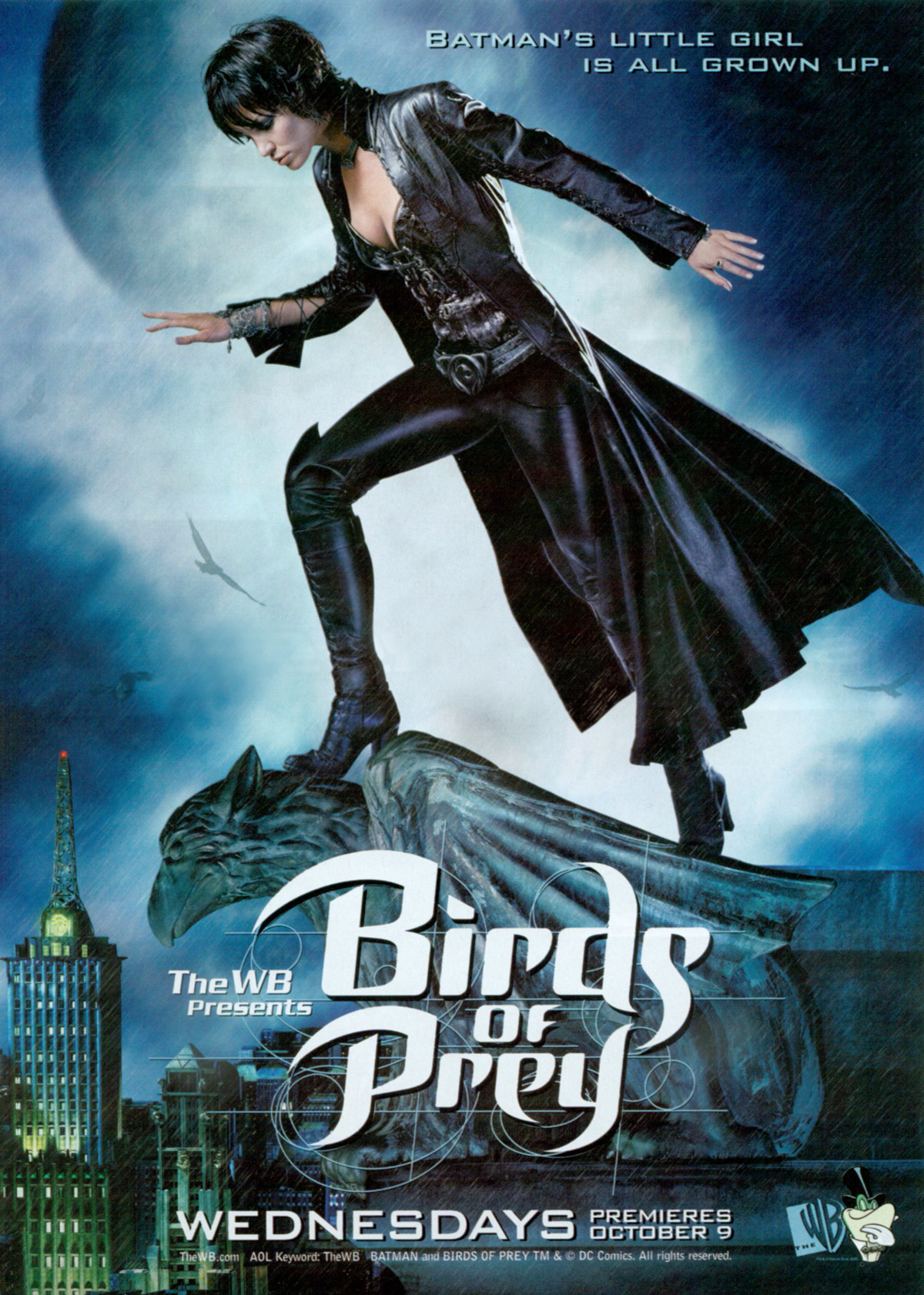 Birds of Prey (film), Batman Wiki
