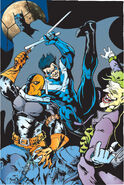 Nightwing4yq