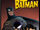 The Batman (Zeichentrickserie 2004)